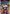 Buy The Sims 2 Gamecube version, a classic life simulation video game for nostalgic gaming enthusiasts, vibrant cover art.