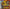 Mario Vs. Donkey Kong Mini-land Mayhem DS game, colorful puzzle adventure for Nintendo DS, family-friendly entertainment