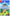 The Legend of Zelda Link’s Awakening | Switch