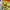 Shrek 2 GBA game cartridge, vintage green, for Game Boy Advance, family-friendly platformer