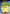 Spongebob Battle for Bikini Bottom Gamecube, vintage action-adventure video game, colorful graphics, family-friendly