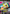 GBA Video Spongebob Vol 1 cartridge for Game Boy Advance, featuring classic episodes in vibrant color.
