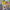 Cartoon Network Block Party/Speedway for GBA – retro handheld racing and party game with colorful Cartoon Network characters