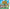 Buy Animal Crossing New Leaf 3DS, family-friendly simulation game for Nintendo, immersive village life experience