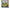 Minecraft | Board Games |