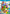 Super Mario 3D World Wii U game, family-friendly multiplayer platform adventure, vibrant graphics